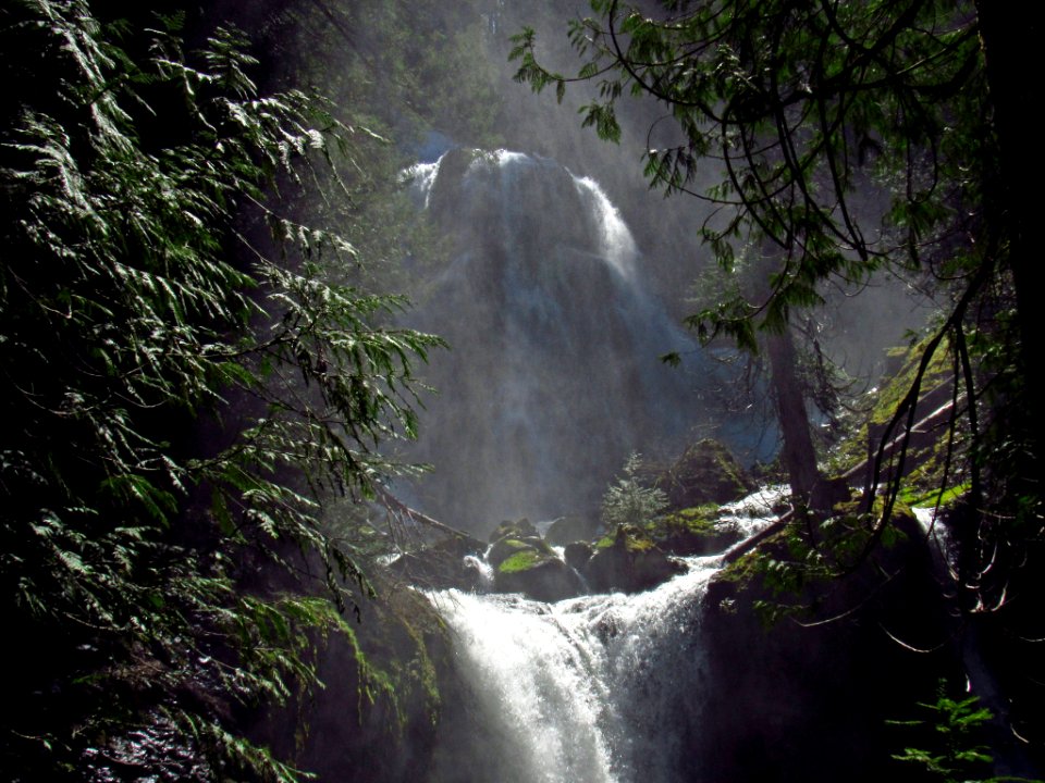 Falls Creek Falls Trail in WA