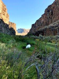 Black Rock Canyon