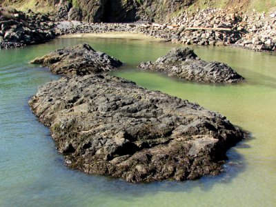 Yaquina Head in OR