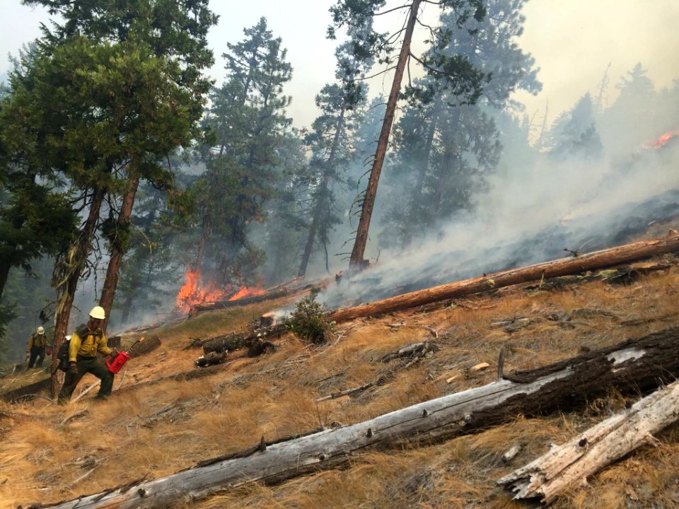2016 Fire Season with the Folsom Lake Veterans' Fire Crew