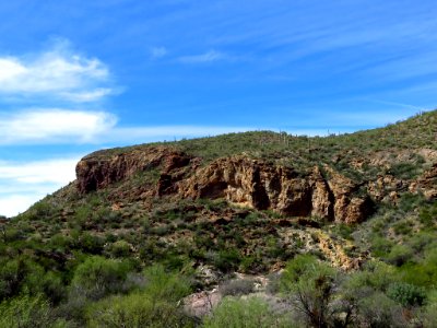 Organ Pipe Cactus NM in AZ photo