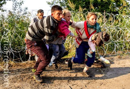 Syrian Refugees