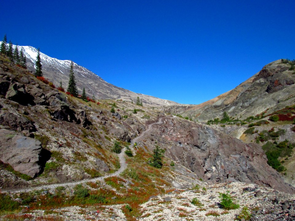 Ape Canyon Trail in WA
