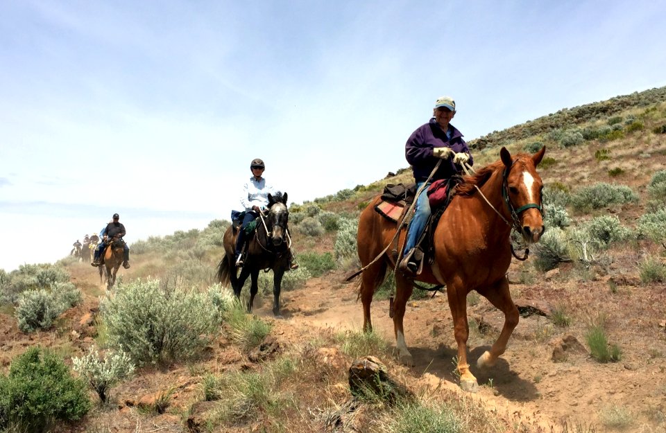 Backcountry Horsemen