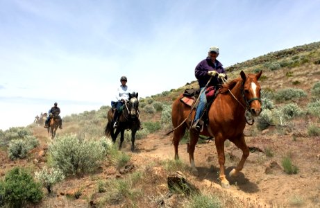Backcountry Horsemen