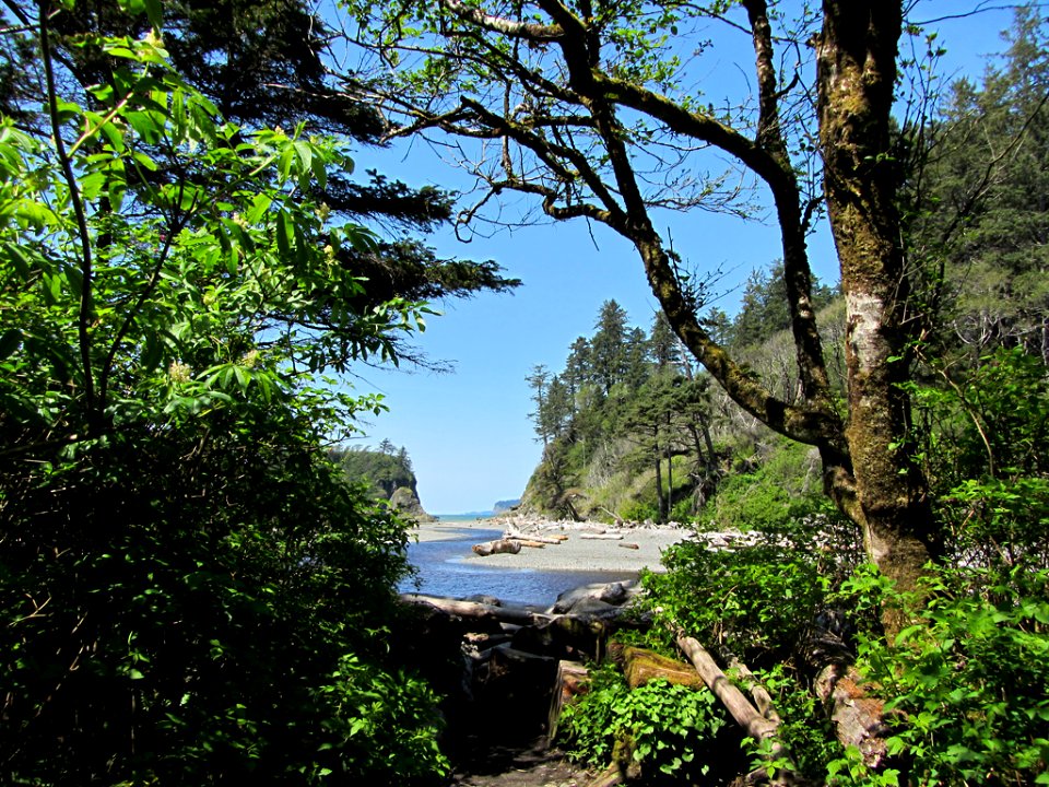 Ruby Beach at Olympic NP in WA