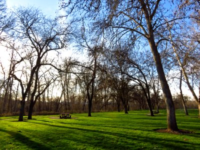 Rest Area in California