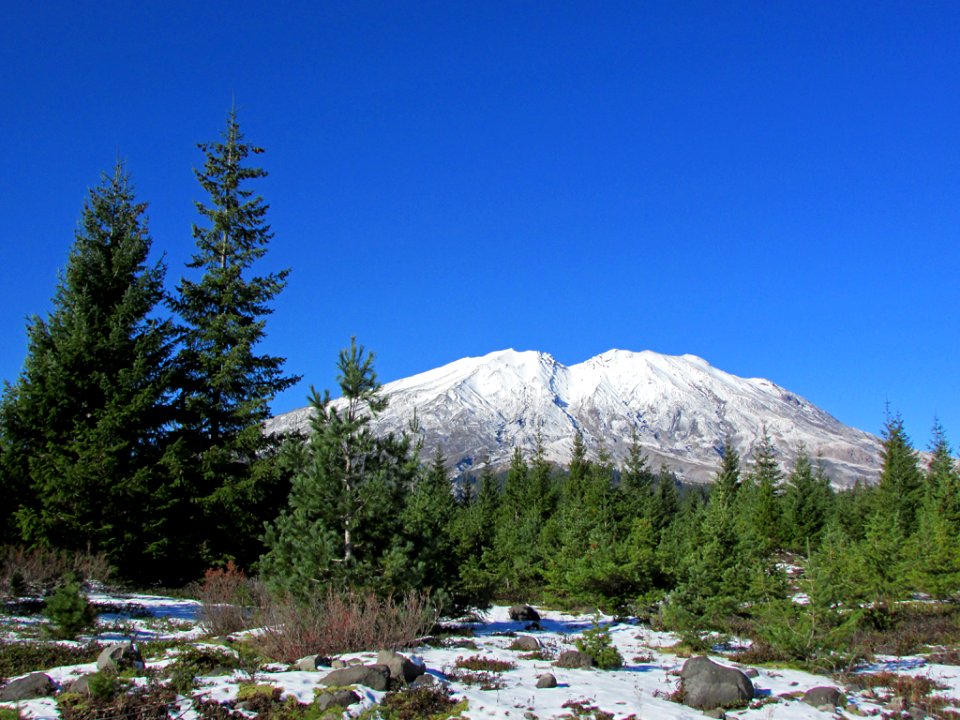 Mt. St. Helens NM in WA