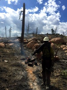 2016 Fire Season with the Folsom Lake Veterans' Fire Crew