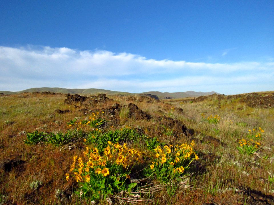 Horsethief Butte in WA