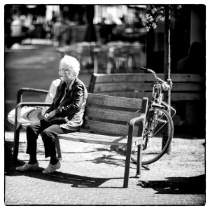 The Sadness of Old Age photo