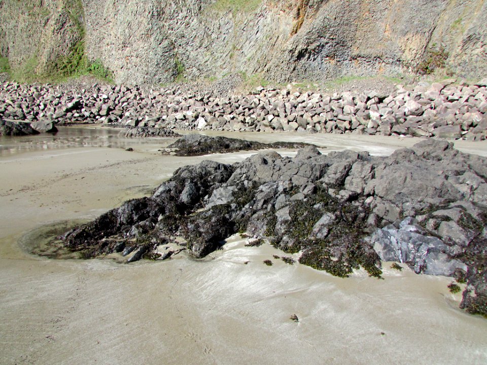 Yaquina Head in OR