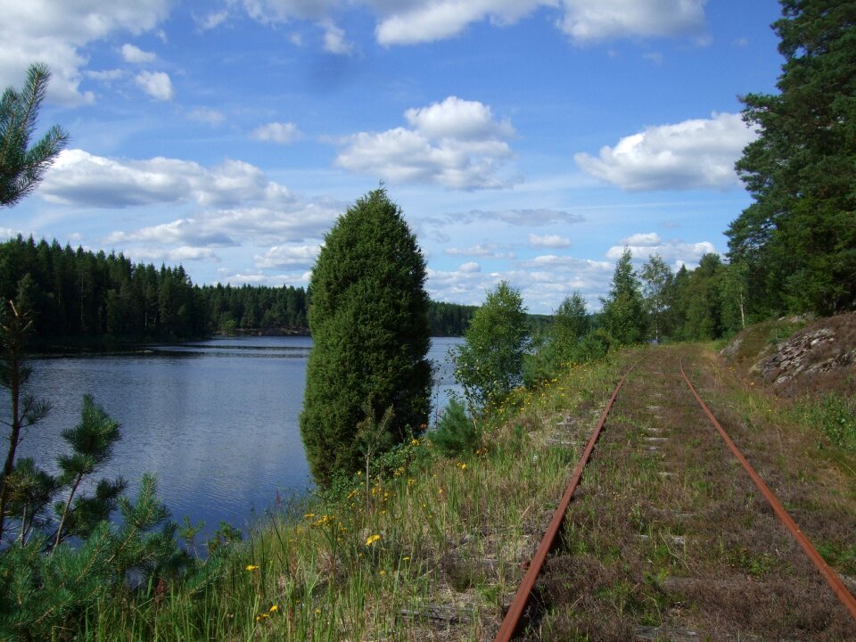 Lake landscape summer