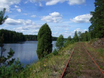 Lake landscape summer
