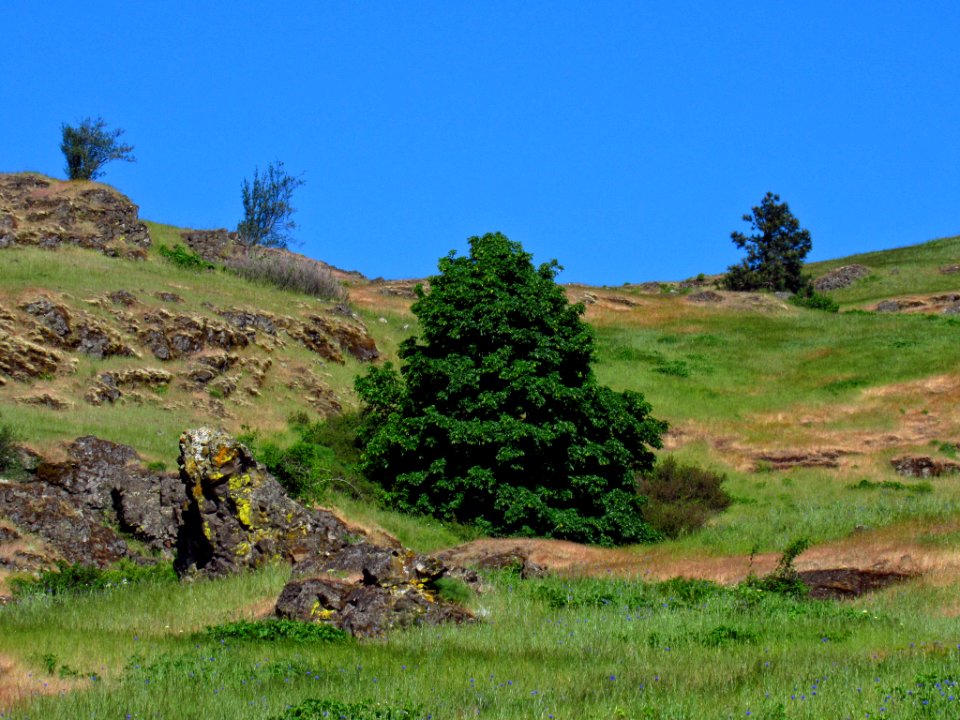 Labyrinth-Coyote Wall Trail in WA