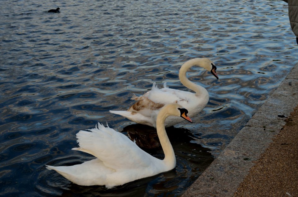 hydepark5