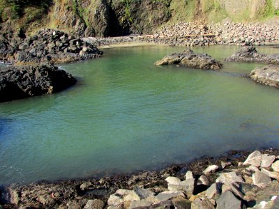 Yaquina Head in OR