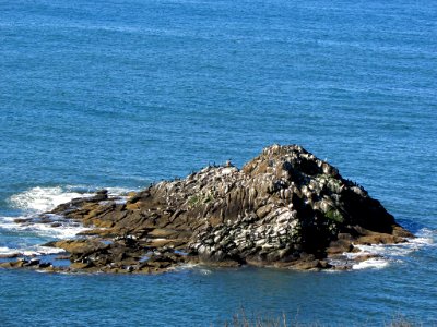 Yaquina Head in OR