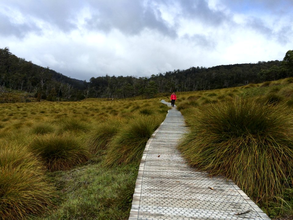 Tasmania, Australia (17)