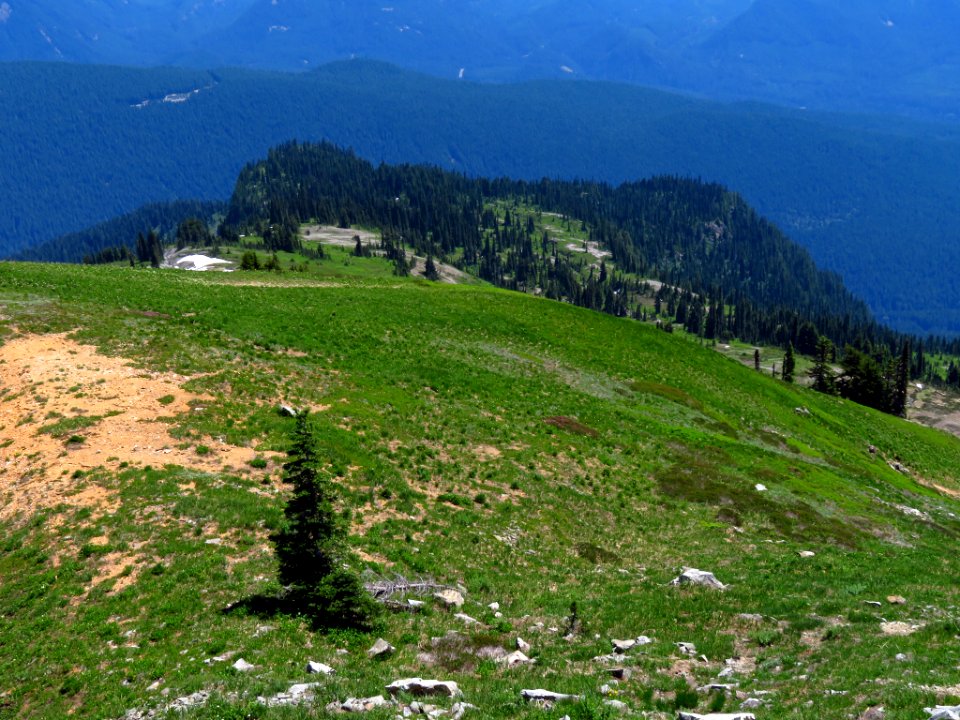 Tatoosh Peak Trail in WA