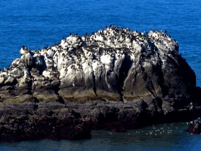 Yaquina Head Natural Area at Oregon Coast