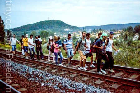Syrian Refugees Crisis - HUNGARY IGNORANCE photo