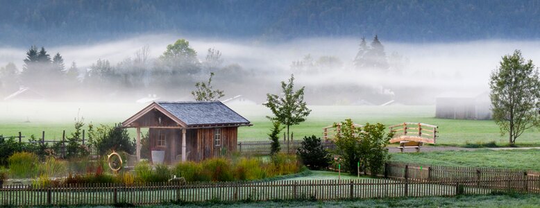Autumn mood morning