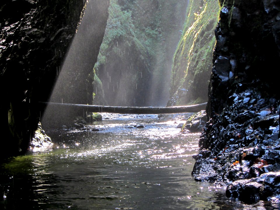 Oneonta Gorge at Columbia River Gorge in OR