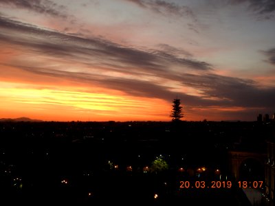DSCN3982
