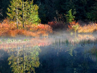 Trillium Lake at Mt. Hood in OR photo