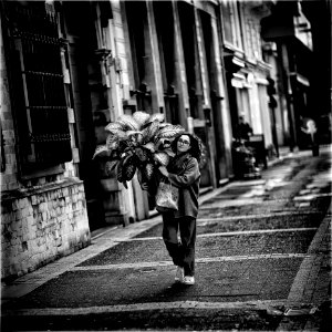 You Don't Bring Me Flowers