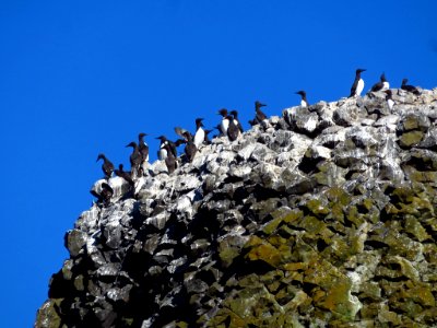 Yaquina Head Natural Area at Oregon Coast