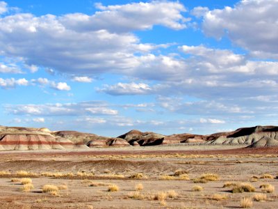 Blue Mesa at Petrified Forest NP in Arizona photo