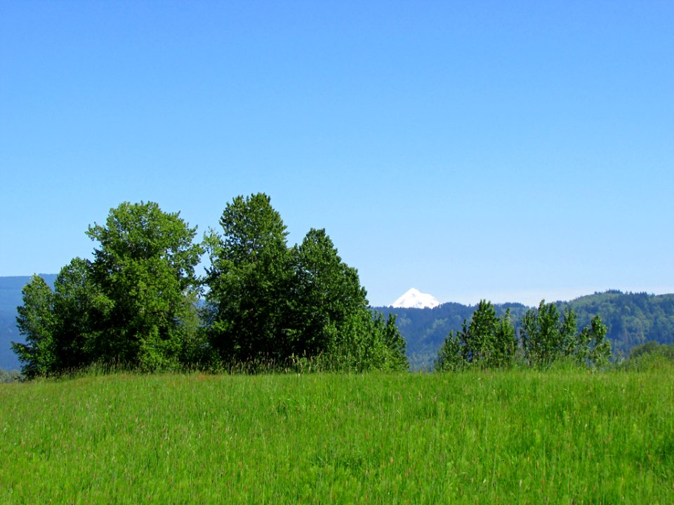 Steigerwald Lake NWR in WA
