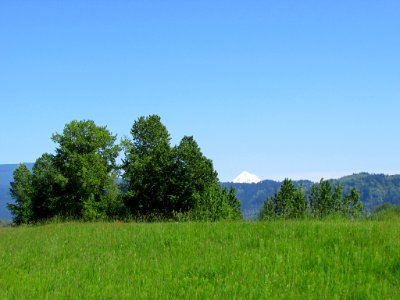 Steigerwald Lake NWR in WA