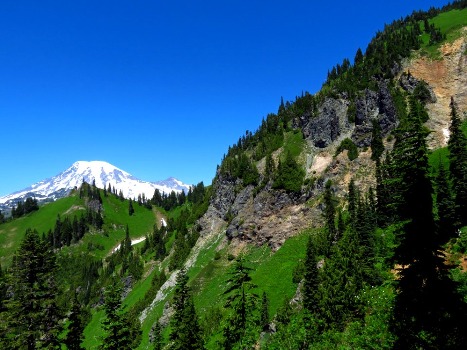 Mt. Rainier on Tatoosh Peak Trail in WA