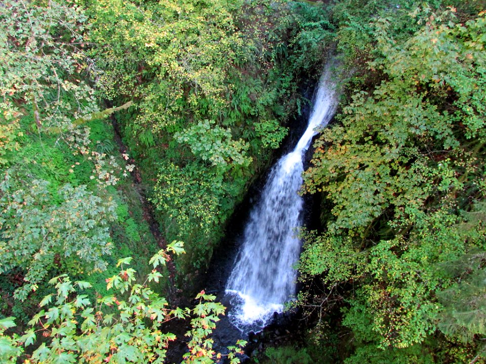 Waterfall at Columbia River Gorge in OR