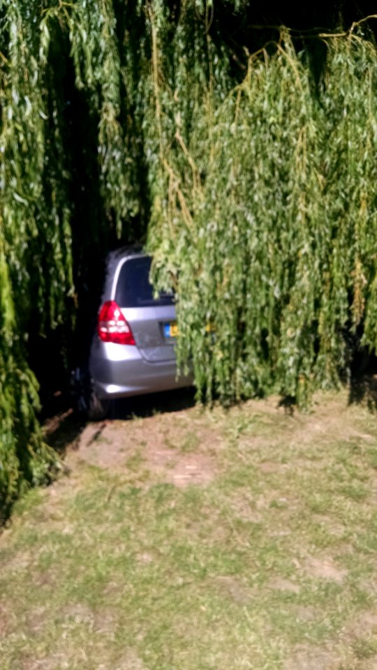 Hide and seek