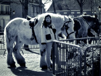 Big White Horse photo