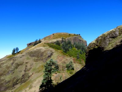 Saddle Mountain Trail in OR