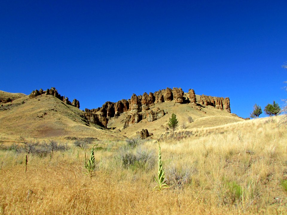 Clarno Unit at John Day Fossil Beds NM in OR