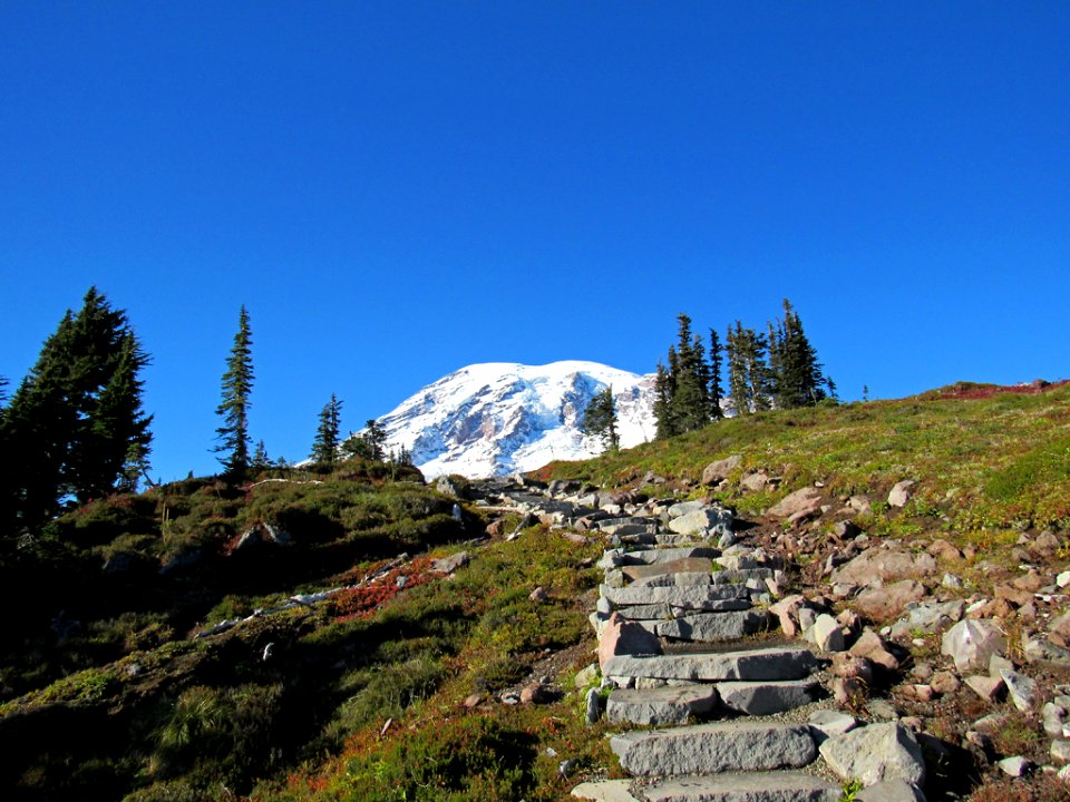 Autumn at Skyline Trail at Mt. Rainier NP in WA