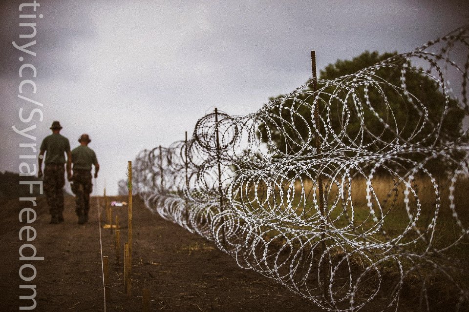 Members of the Hungarian Defence Force install barbed wire on the Hungarian-Serbian border