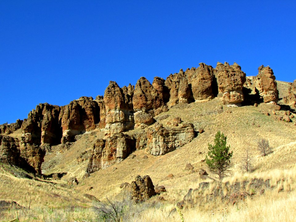 Clarno Unit at John Day Fossil Beds NM in OR
