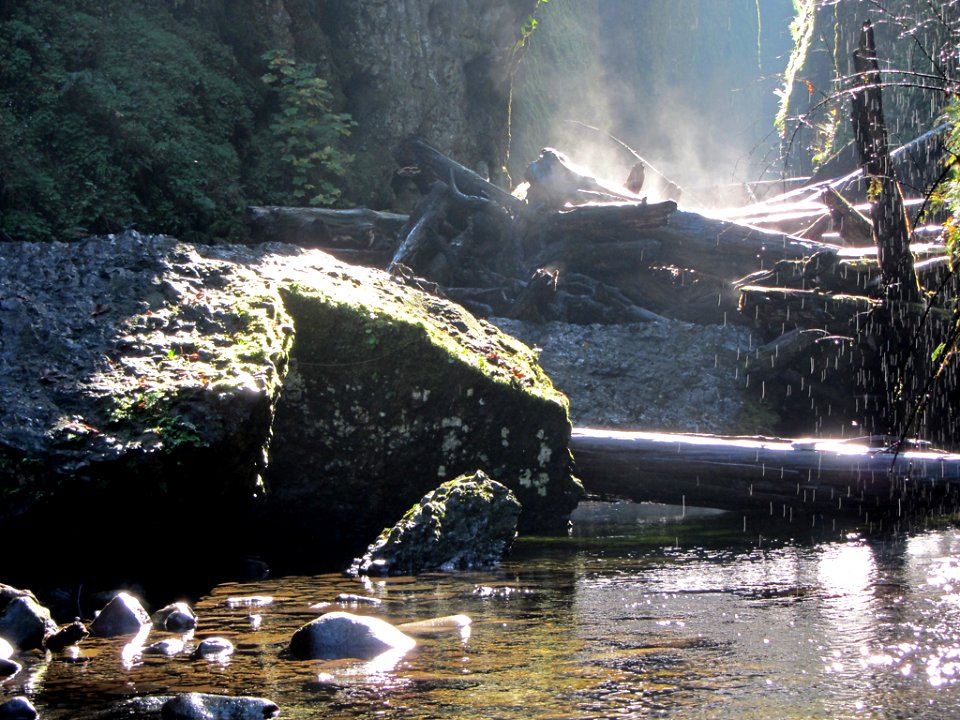 Oneonta Gorge at Columbia River Gorge in OR