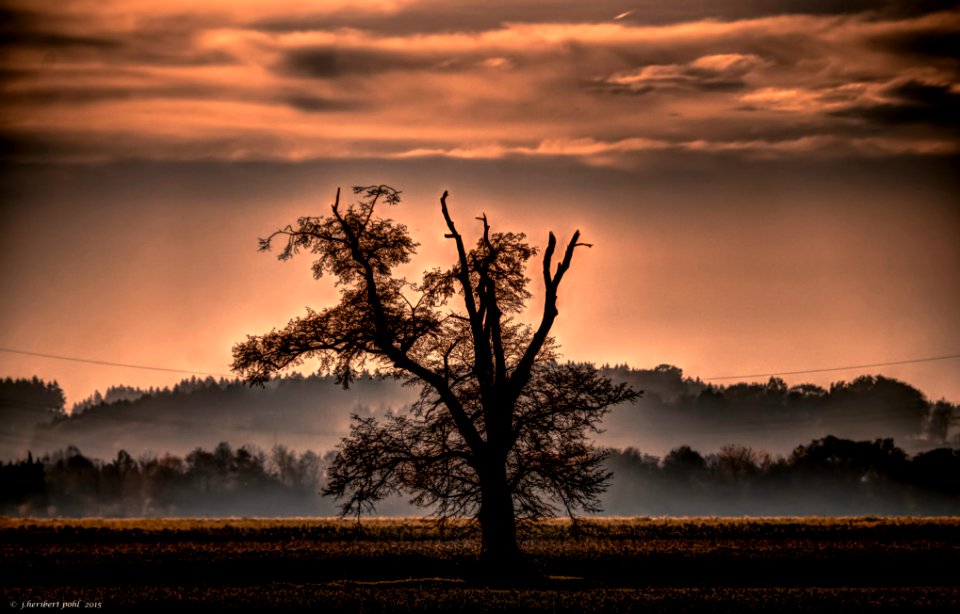 Herbst! Aubinger Lohe, München photo