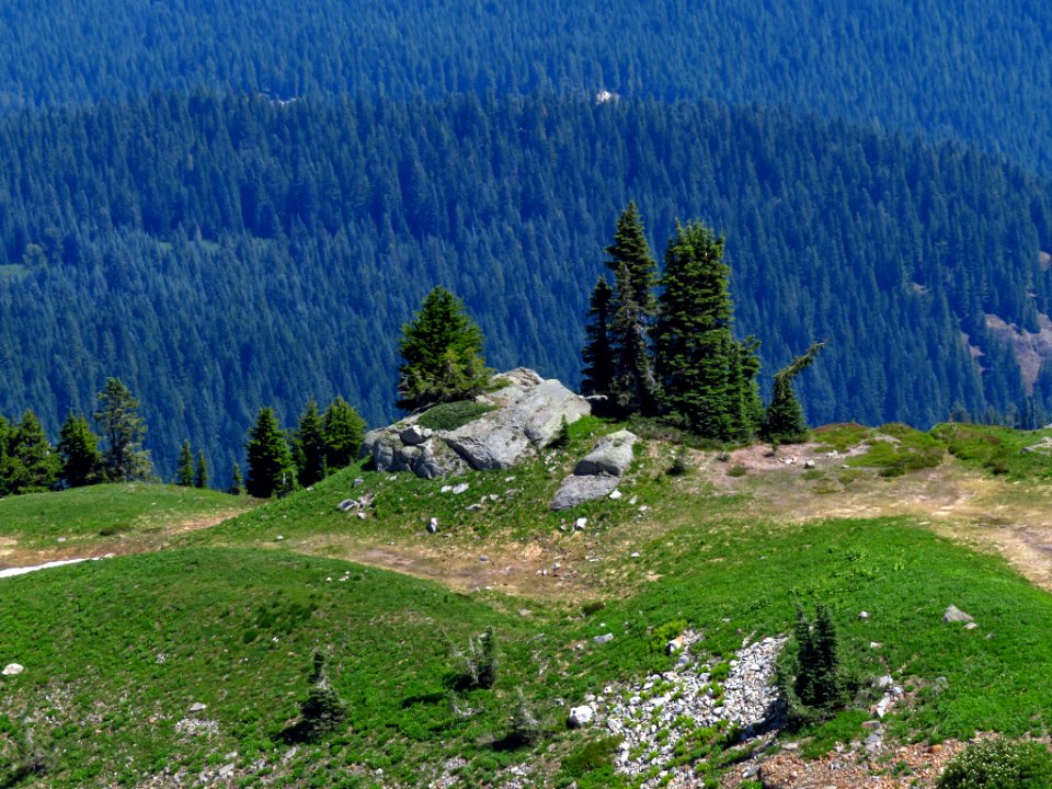 Tatoosh Peak Trail in WA
