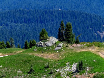 Tatoosh Peak Trail in WA