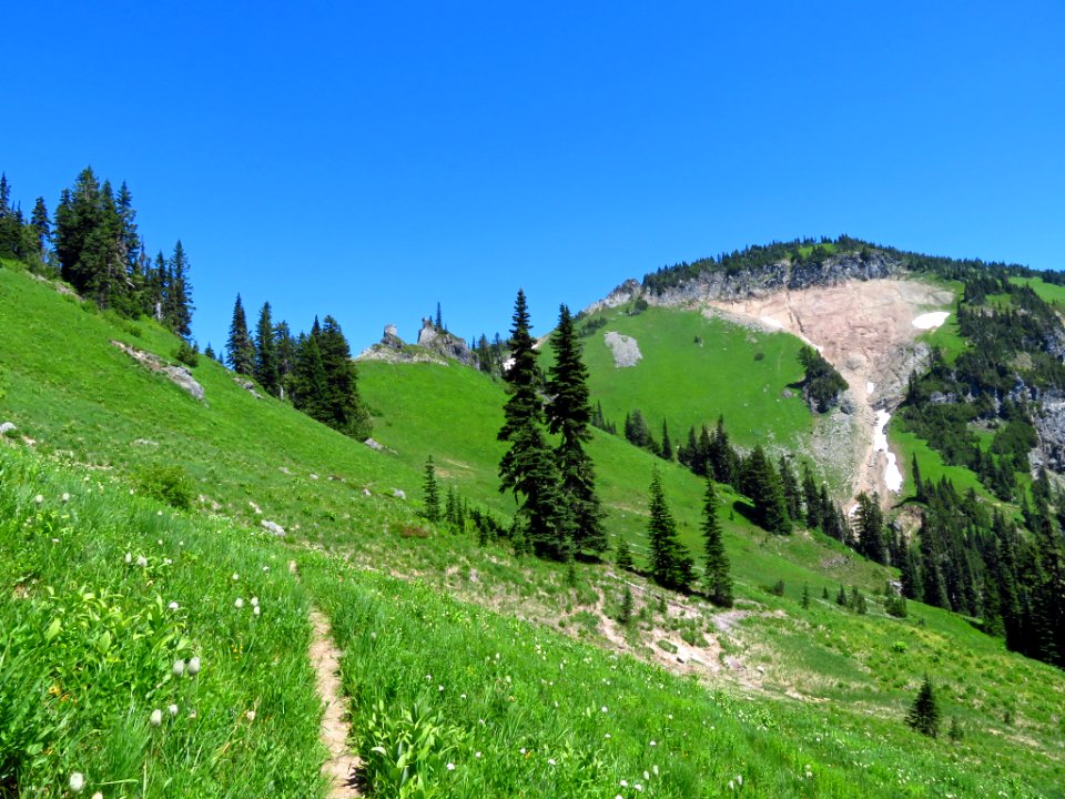 Tatoosh Peak Trail in WA