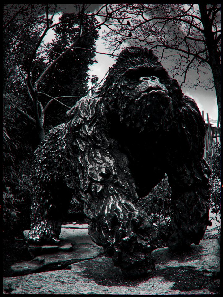 Auguste: Tribute to an Icon of the Antwerp ZOO